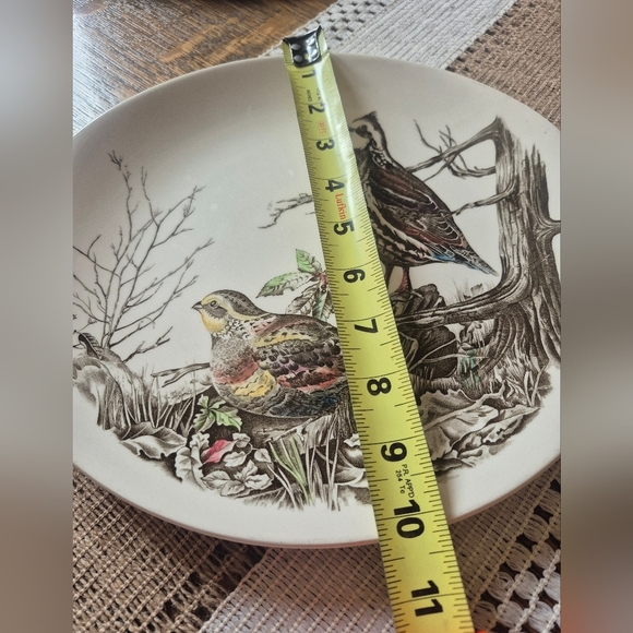 Cottage Core Style-Quail Ironstone Johnson Brothers Oval Collectors Plate-9 3/8" - Picture 4 of 6